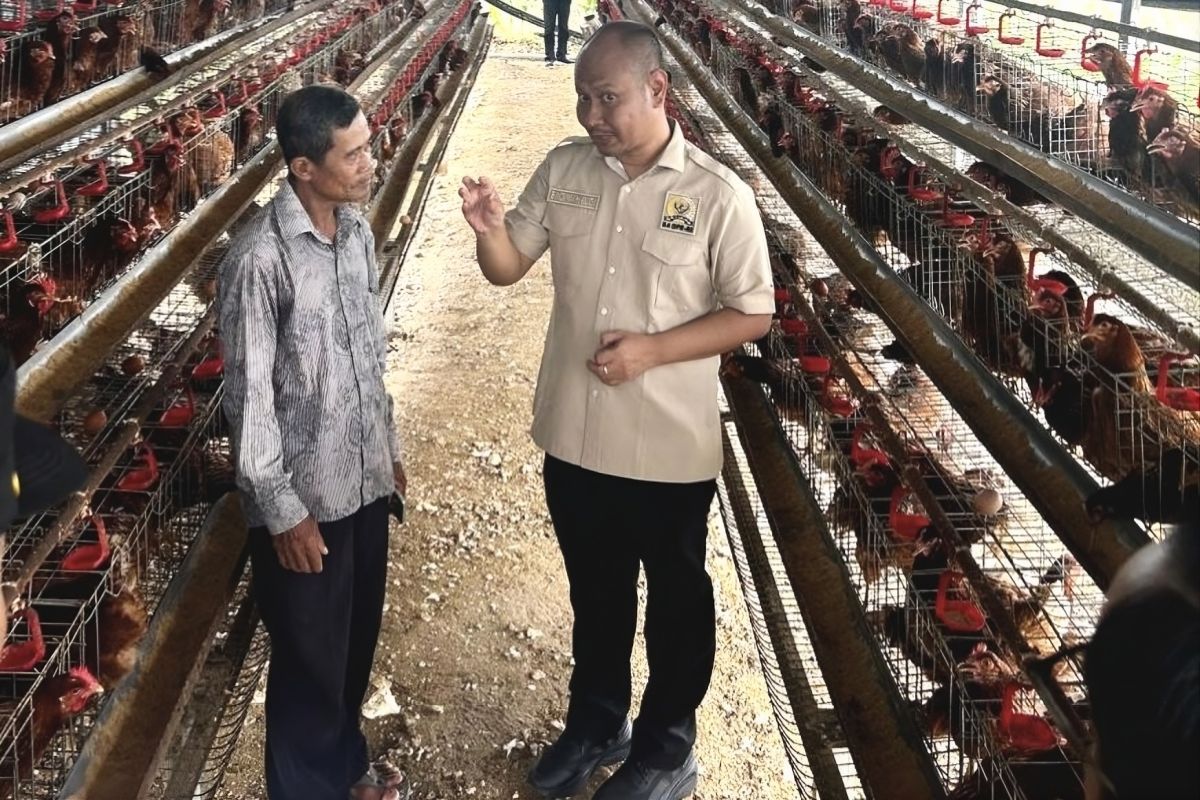 Legislator: Antisipasi lonjakan harga pangan dan dampak kekeringan