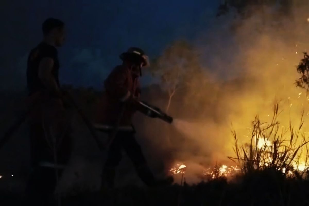Pemkab Natuna padamkan api bakar lahan seluas empat hektare