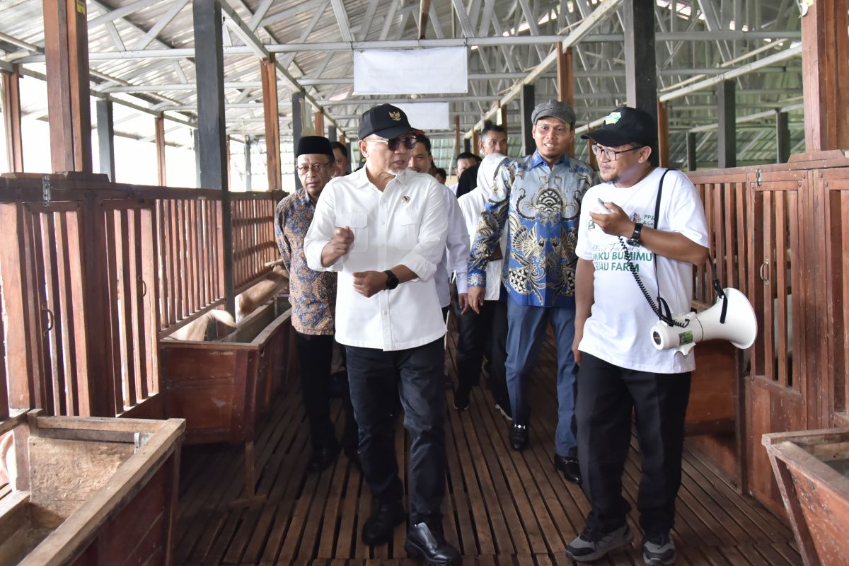 Zulhas: Sinergi jadi kunci penguatan ketahanan pangan nasional