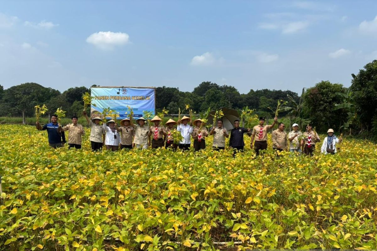 Pramuka bersama HKTI bangun kekuatan pangan lewat tanam kedelai