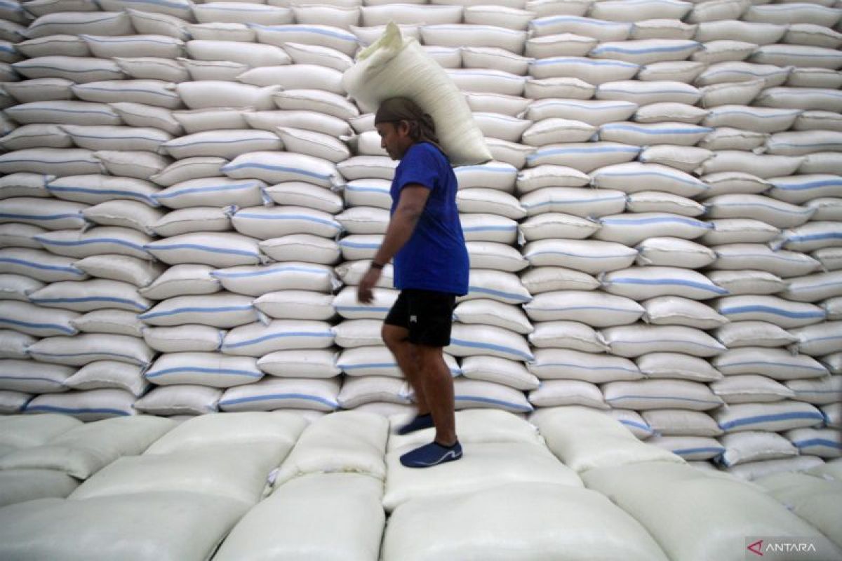 Menguji efektivitas cadangan beras pemerintah