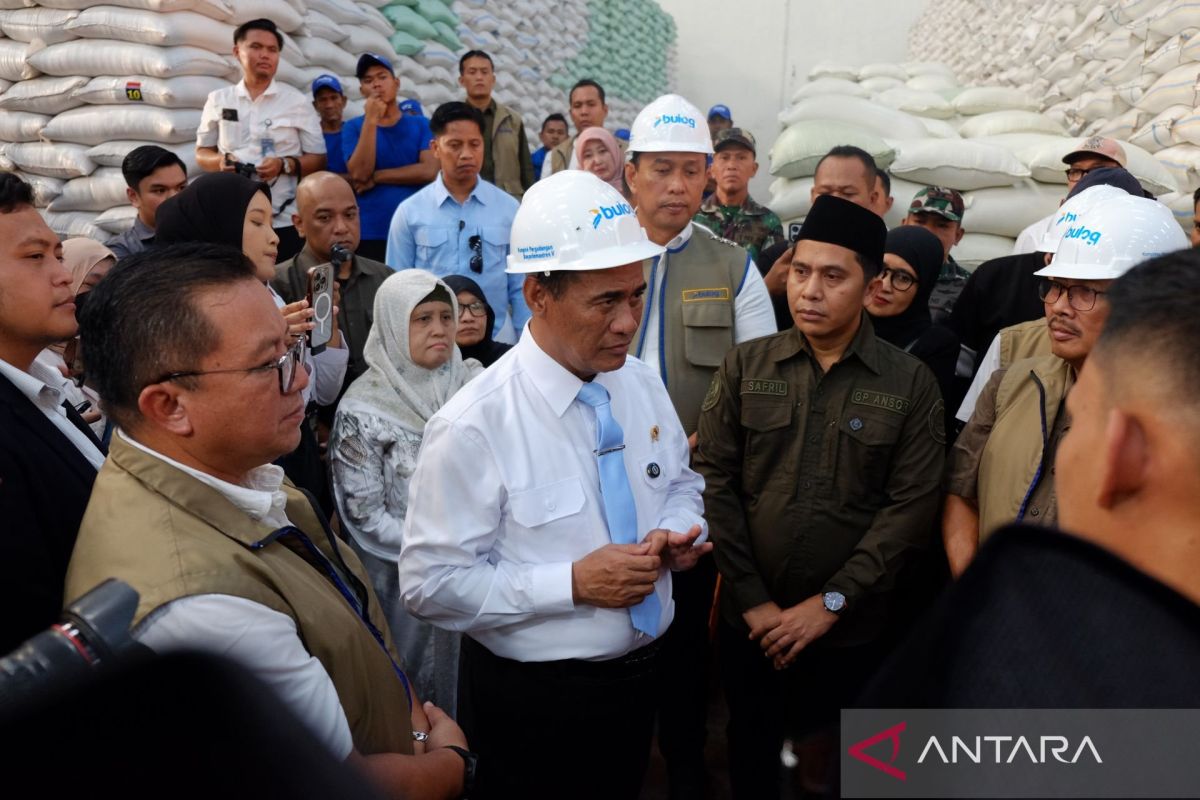 Mentan ajak masyarakat aktif verifikasi data pangan nasional