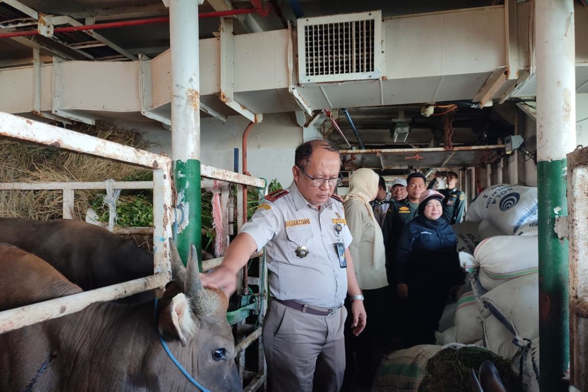 Badan Karantina kawal distribusi hewan kurban melalui tol laut