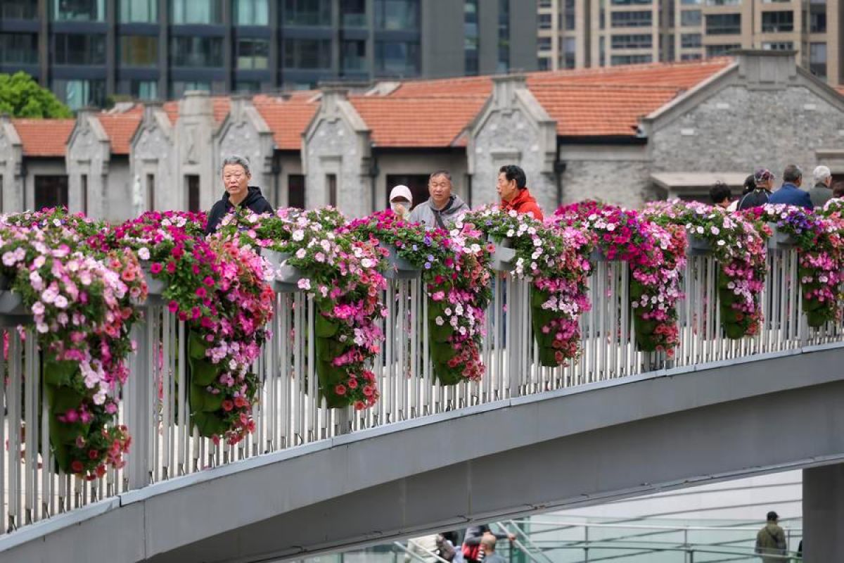 Mengunjungi pameran bunga internasional di Shanghai, China Timur