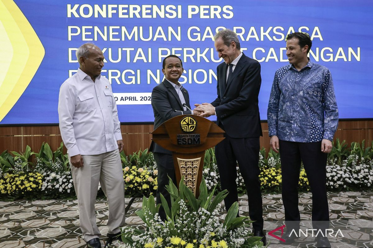 Anggota DEN sebut tingkat kesulitan Blok Ganal tinggi