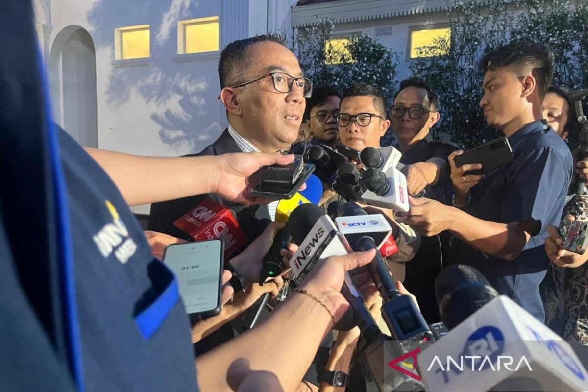 Presiden Prabowo Serukan Percepatan Pencapaian 100 GW Tenaga Surya