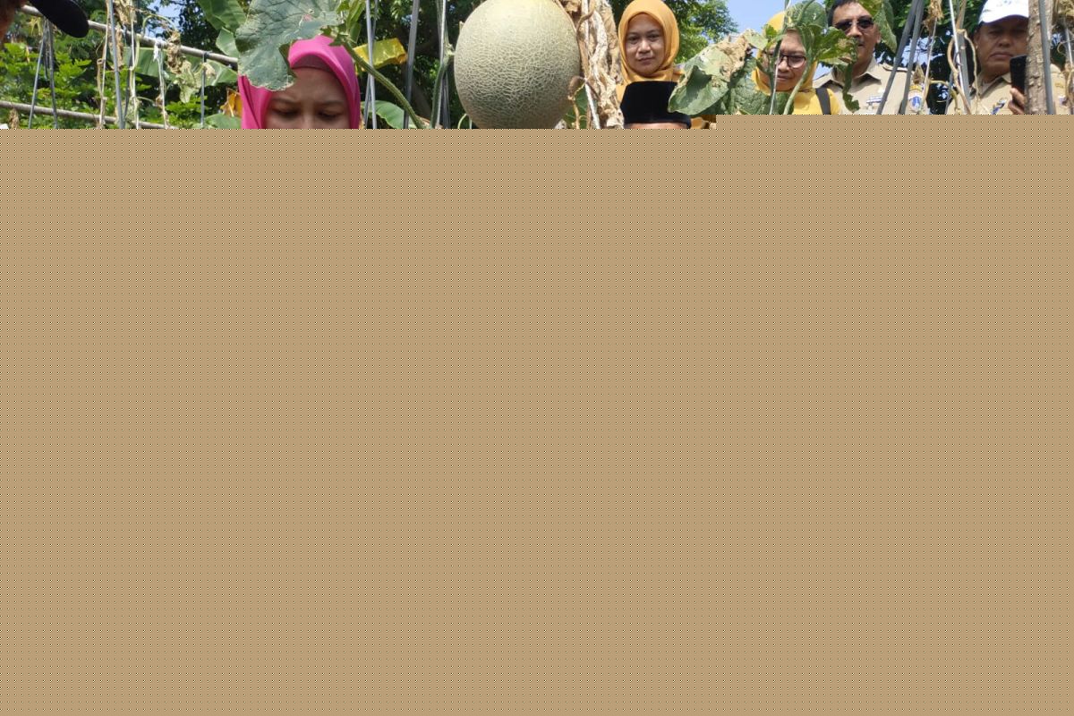 Bupati dorong kemandirian pangan di Kepulauan Seribu