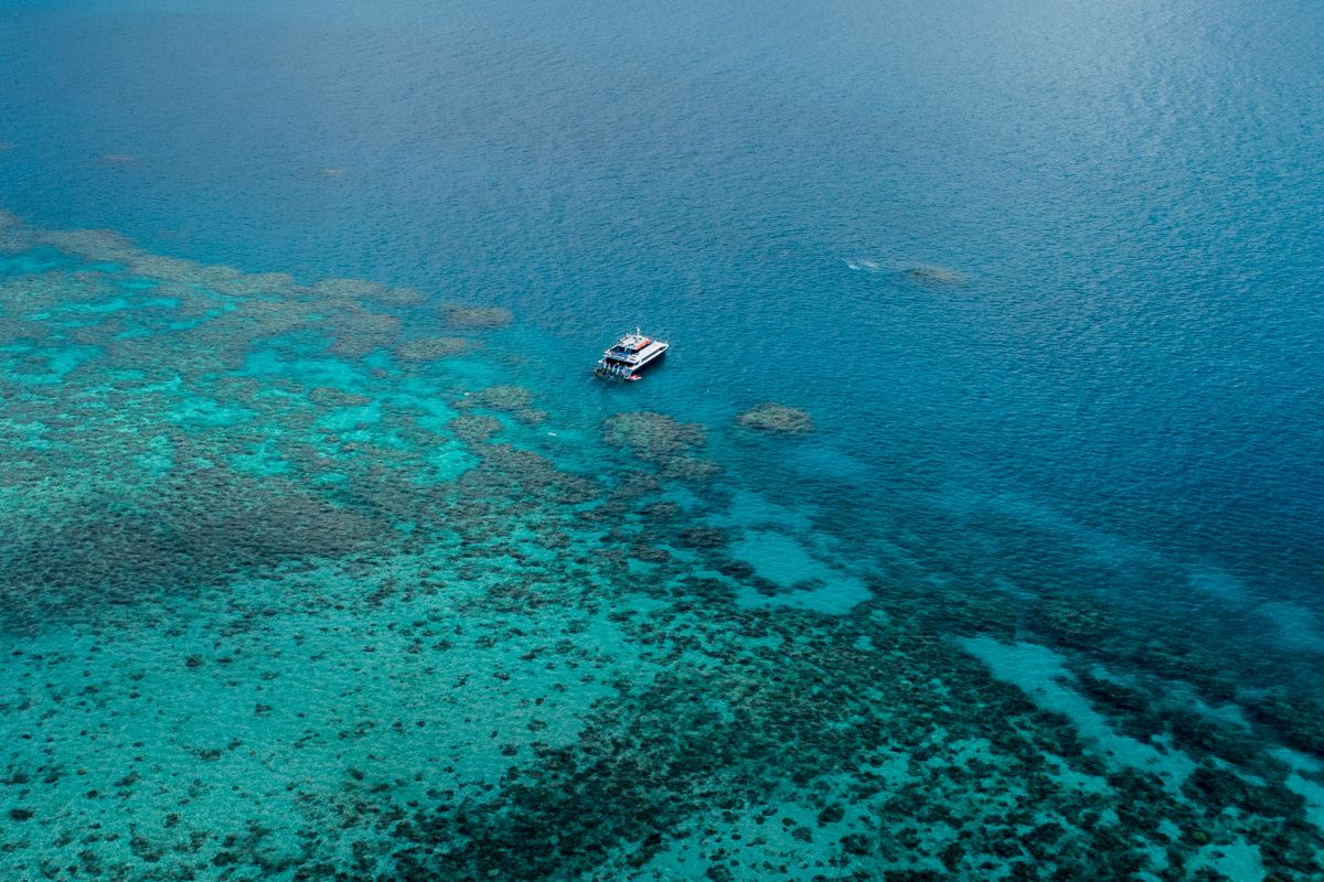 Tim peneliti petakan 1.000 terumbu karang tersembunyi di Australia