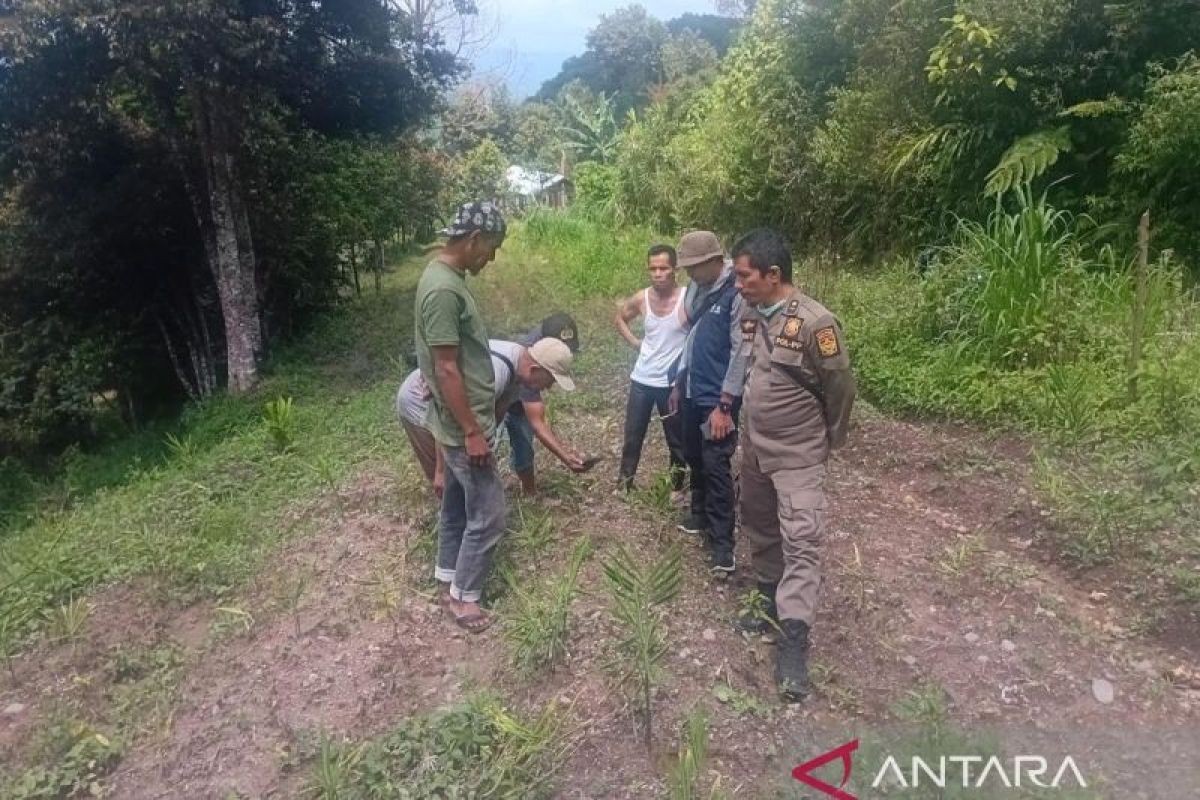 BKSDA Sumbar: Jejak satwa liar di Koto Sani milik harimau sumatra