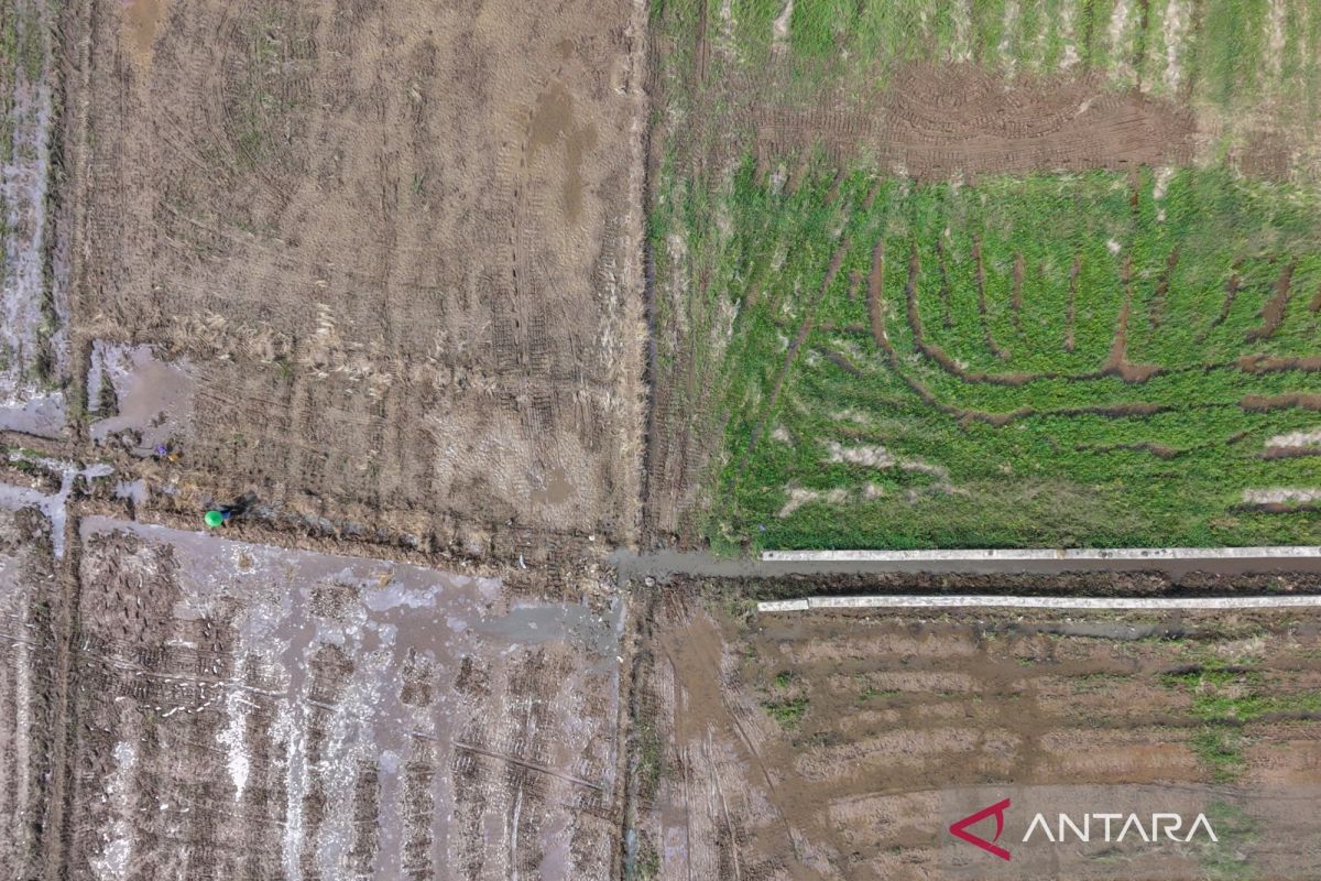 Pengawasan farmakovigilans hingga antisipasi dampak kekeringan