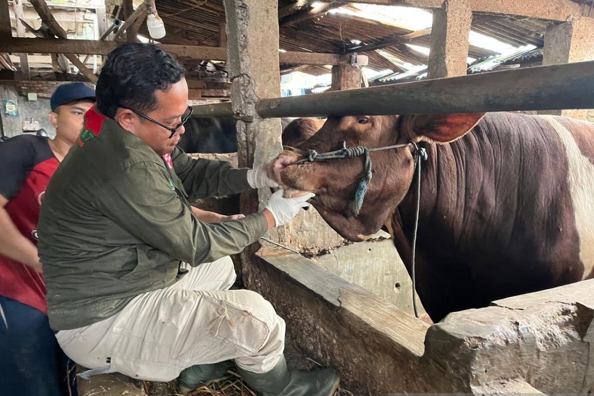 DKPP Bandung siapkan aplikasi E-Selamat, pastikan berkurban aman