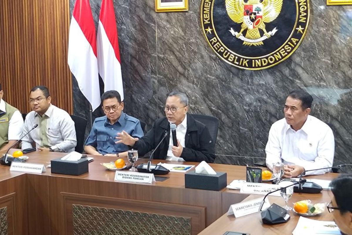 Menko Zulhas: Kenaikan harga Minyakita dipicu serapan bantuan pangan