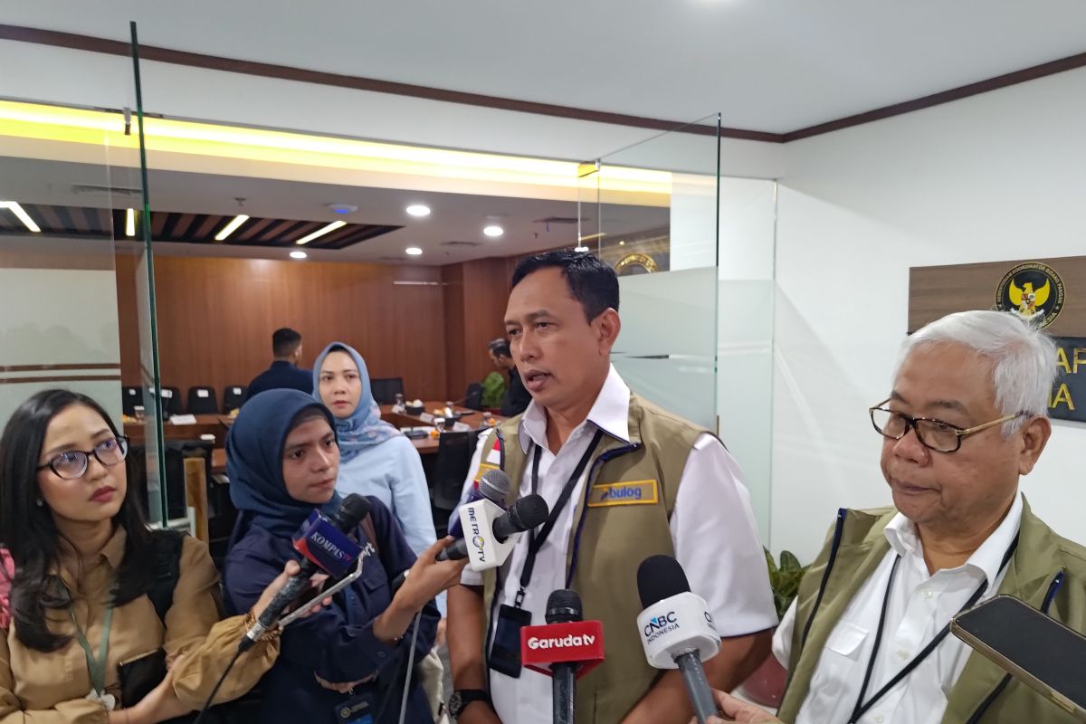 Bulog sebut ekspor beras RI ke Malaysia masih tahap negosiasi harga