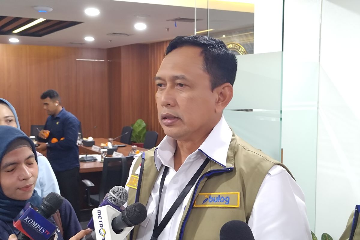 Bulog adopsi teknologi BRIN agar bisa simpan beras hingga dua tahun