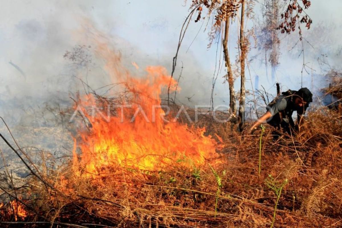 Anggota DPR minta tingkatkan kewaspadaan hadapi ancaman karhutla