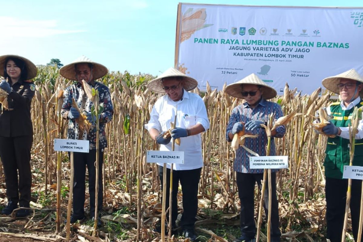 Baznas RI perkuat ketahanan pangan di Lombok Timur