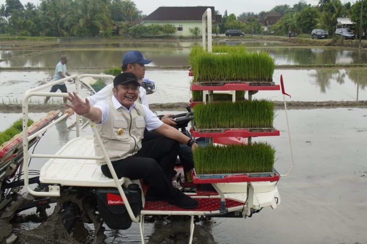 Wamentan : Percepatan masa tanam antisipasi gagal panen akibat El Nino