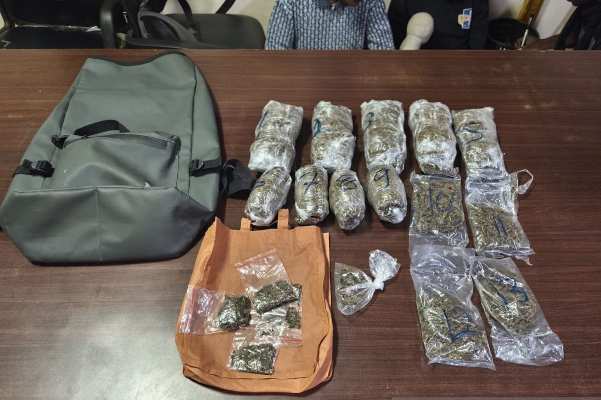 Polisi tangkap tiga mahasiswa pengedar 1,4 kilo ganja di Manokwari