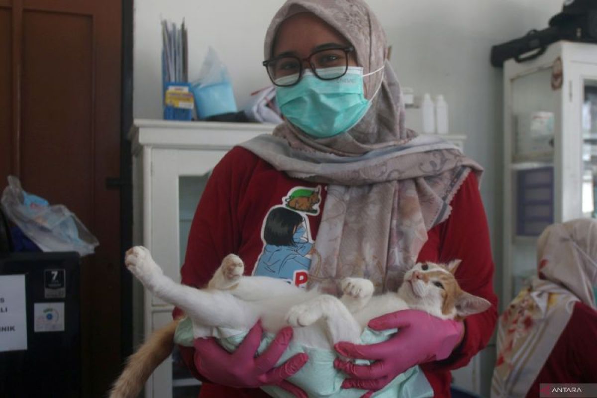 Pemeriksaan hewan peliharaan gratis peringati Hari Dokter Hewan