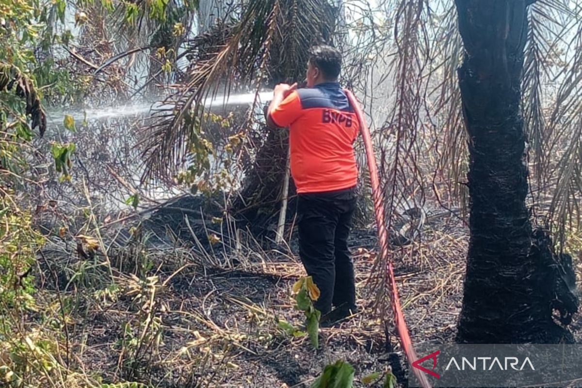 BNPB: Tiga unit damkar berjibaku padamkan api di lahan gambut di Aceh