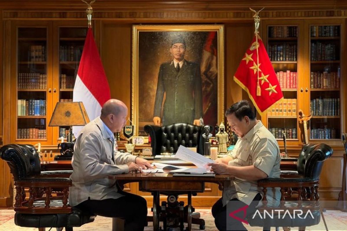 Presiden dan Rosan bahas pembangunan program hilirisasi di 13 lokasi