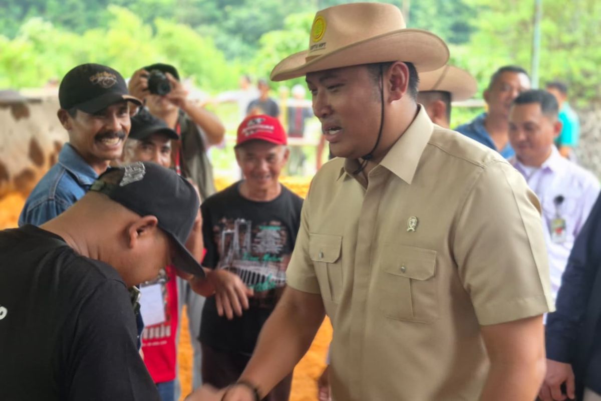 Investasi peternakan di Wonosobo didorong jadi sentra susu nasional