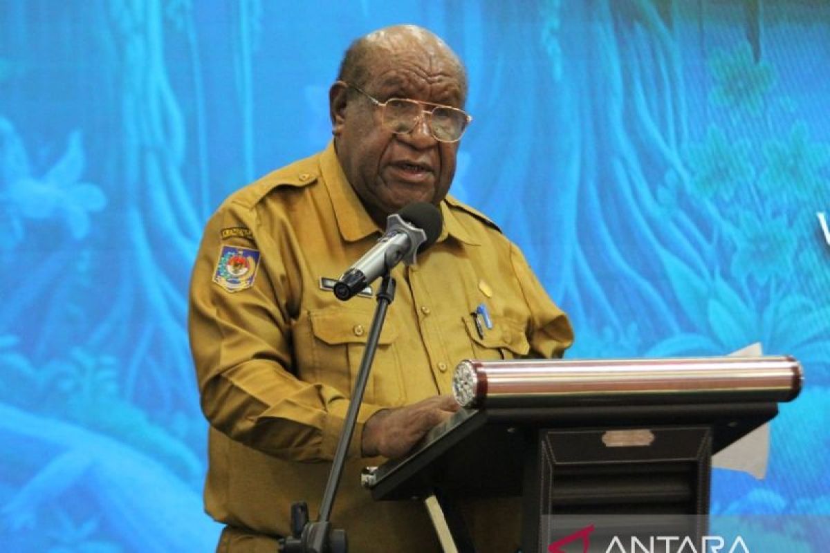 Pemprov ingatkan kawasan hutan Papua Pegunungan harus dijaga