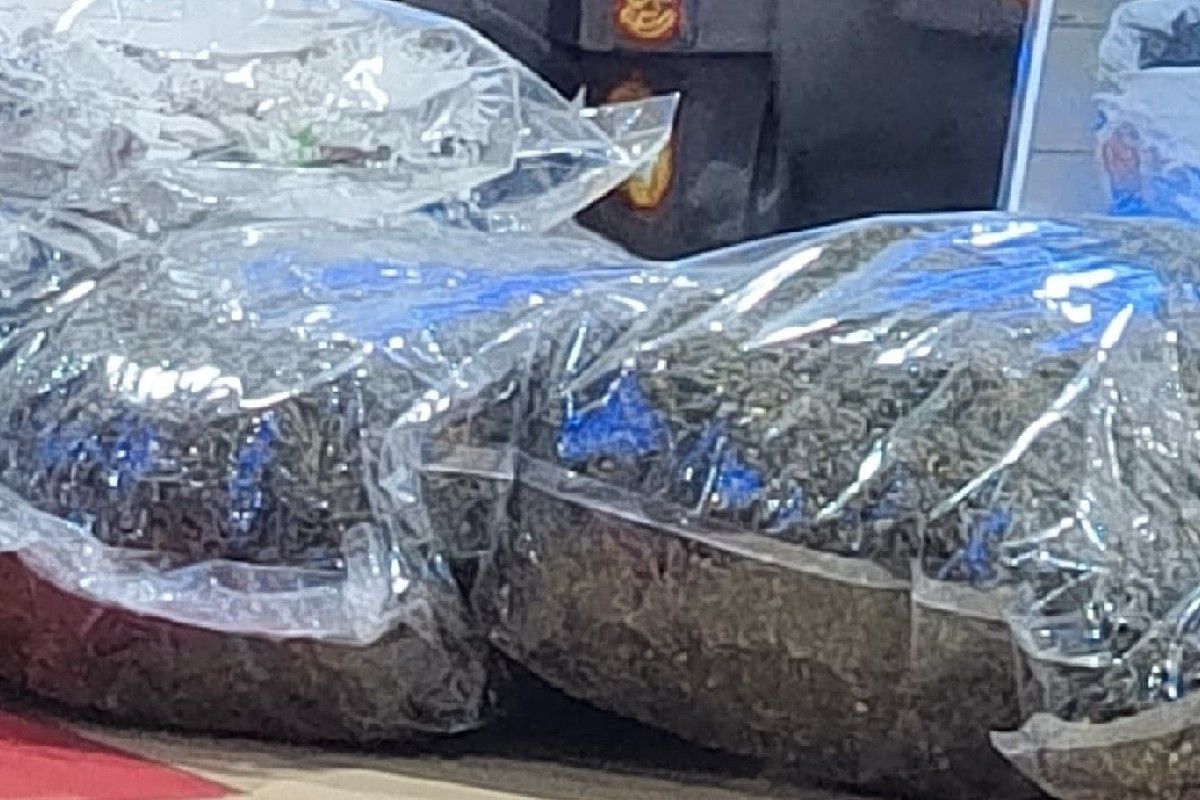 Polisi tangkap 21 pengedar narkotika di Jayapura selama triwulan pertama