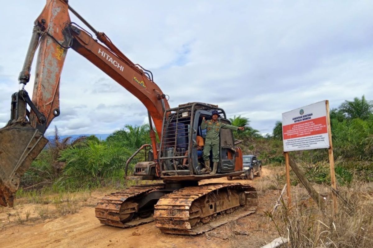 Kemenhut tetapkan tersangka perambahan hutan Bentang Alam Seblat