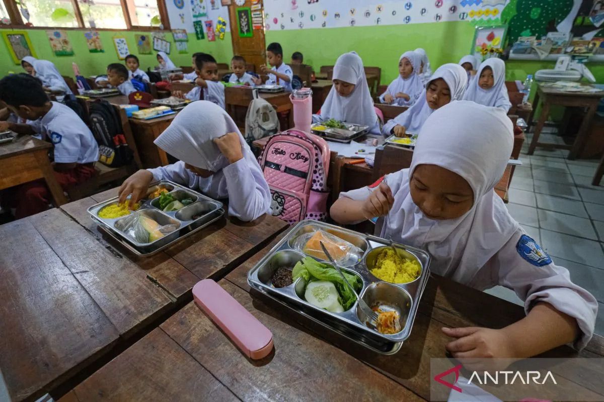 BGN tegaskan peran MBG serap produksi beras hingga sayuran petani