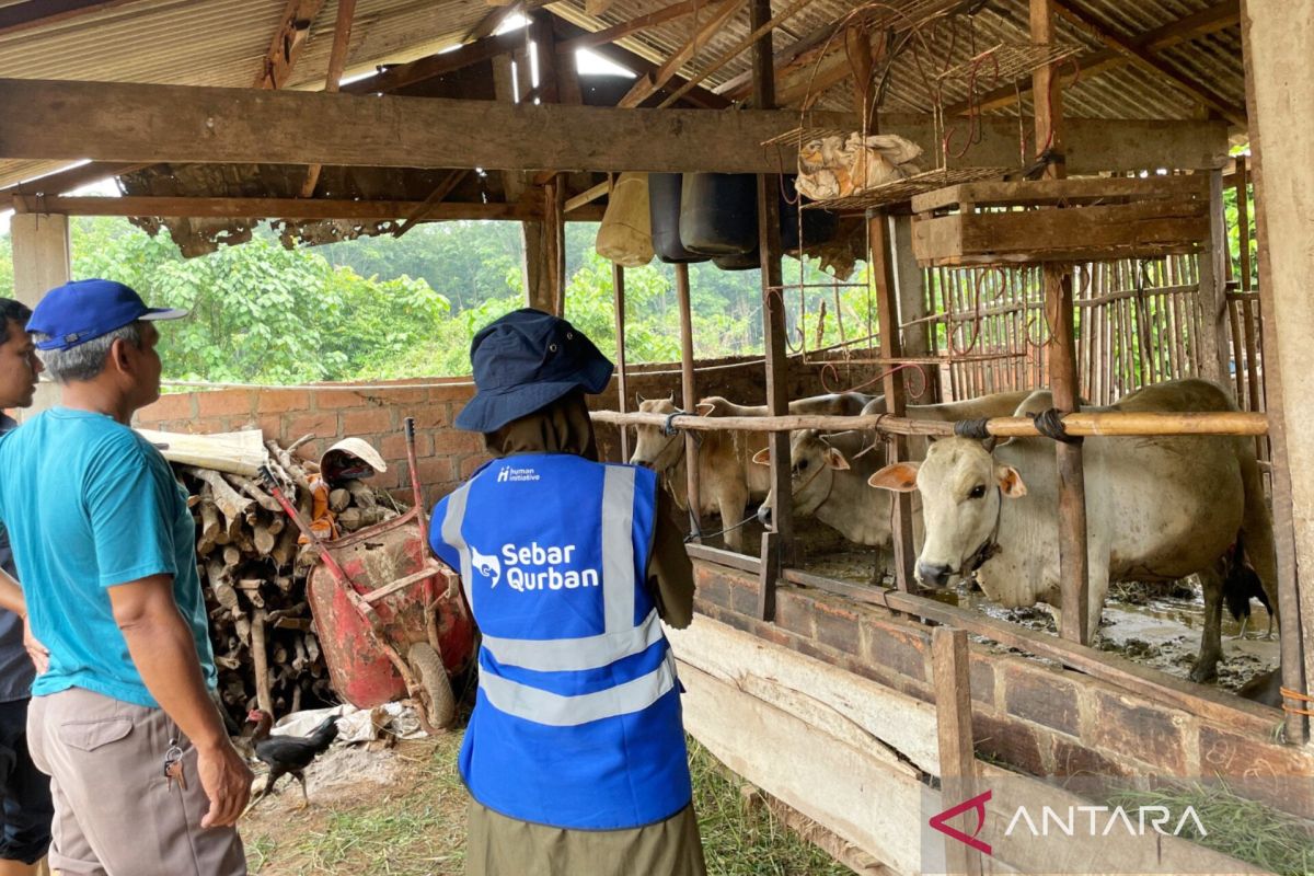 Human Initiative buka program "Flash Sale Qurban" 2026