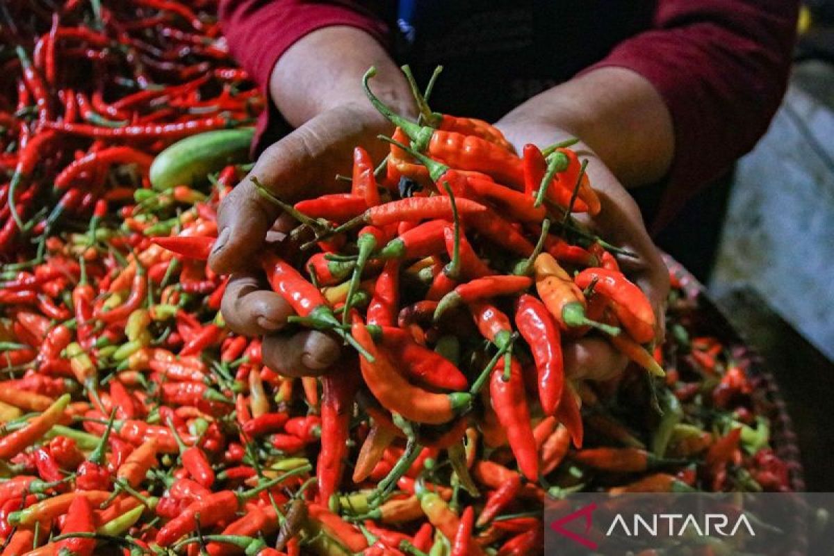 BI: Inflasi April turun ke 2,42 persen berkat kebijakan dan sinergi