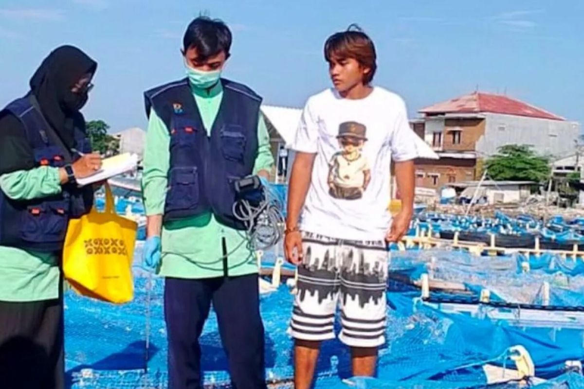 Dinkes DKI beri kiat pilih ikan segar salah satunya lewat ciri mata