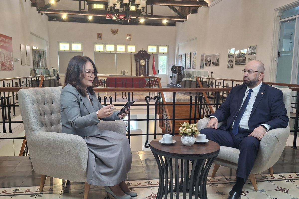 Georgia dukung solusi damai di setiap konflik