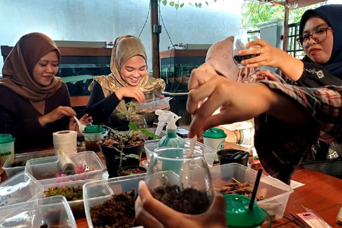 Tren hobi baru terrarium di Sampit punya peluang ekspor