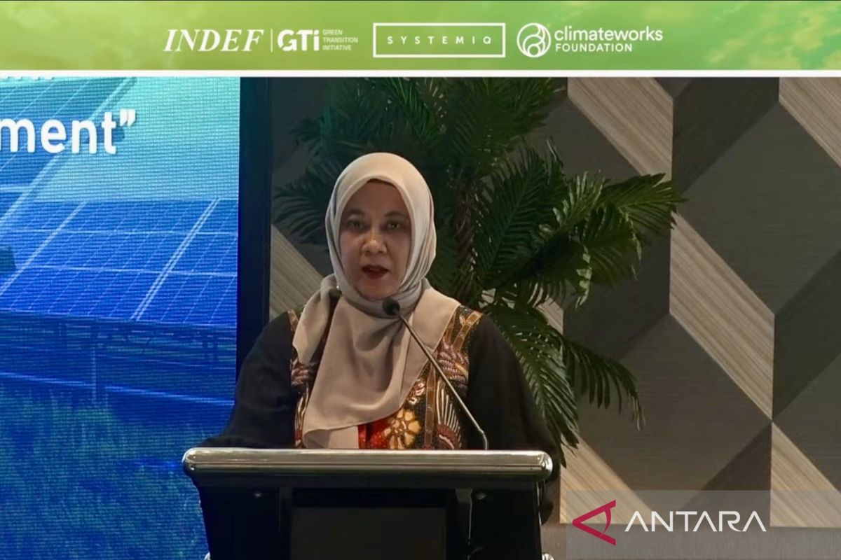 Kemenko Ekonomi: Transisi energi bagian integral pertumbuhan nasional