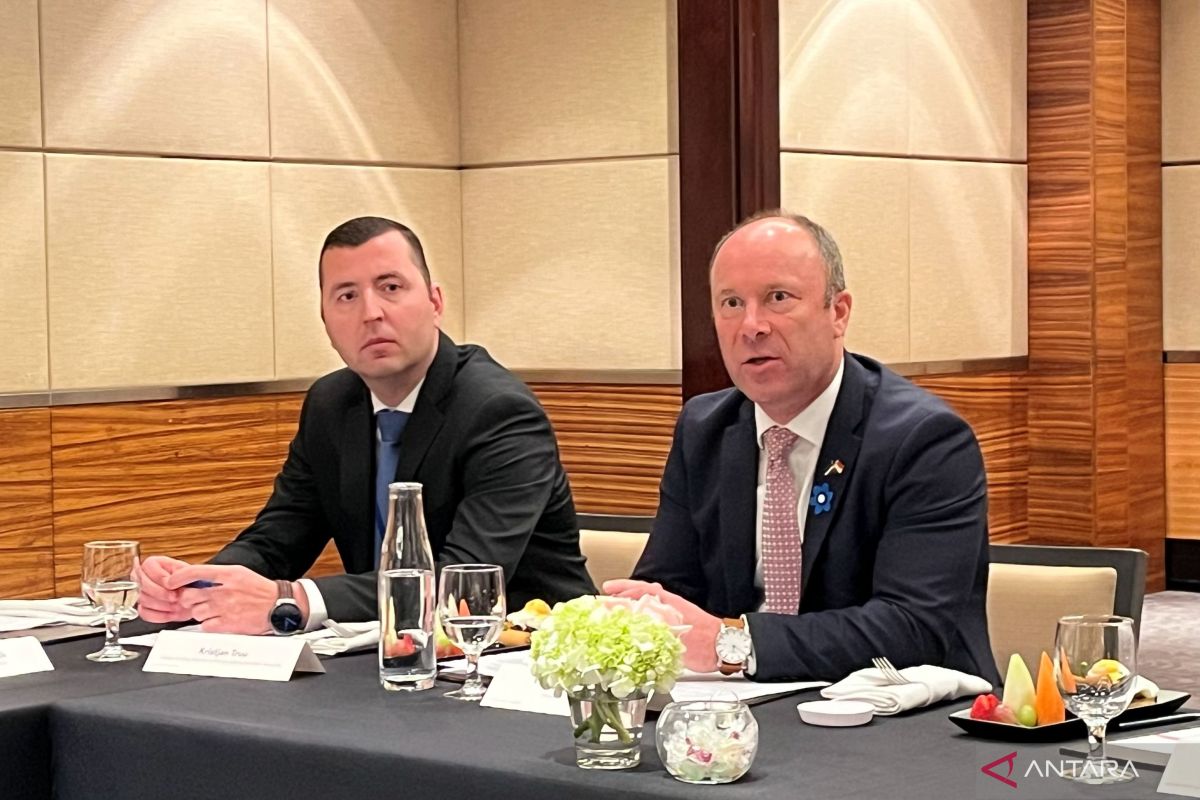 Kadin sebut semakin banyak pihak minat belajar digitalisasi ke Estonia