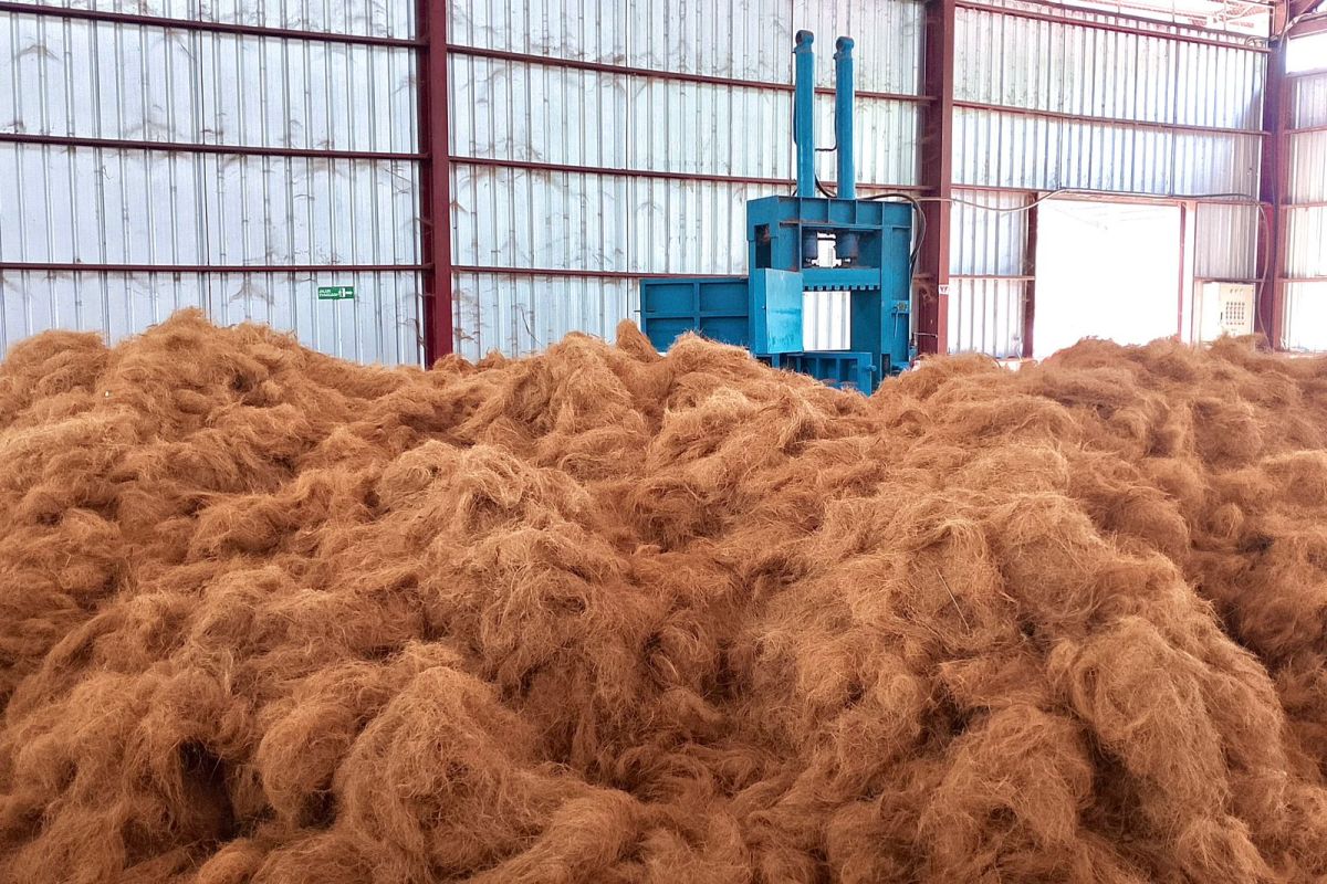 Olahan sabut kelapa UMKM Minahasa Selatan tembus pasar China