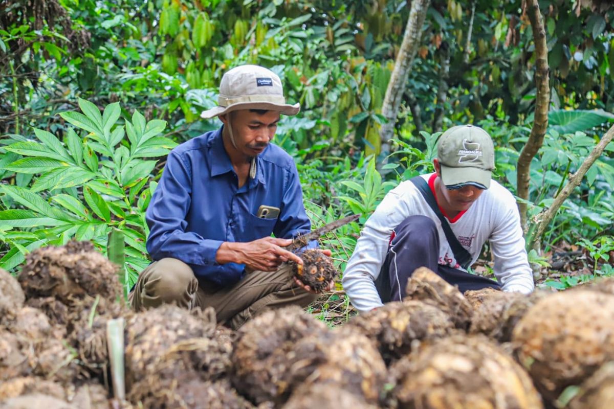 Astra bidik desa jadi pusat pertumbuhan ekonomi baru