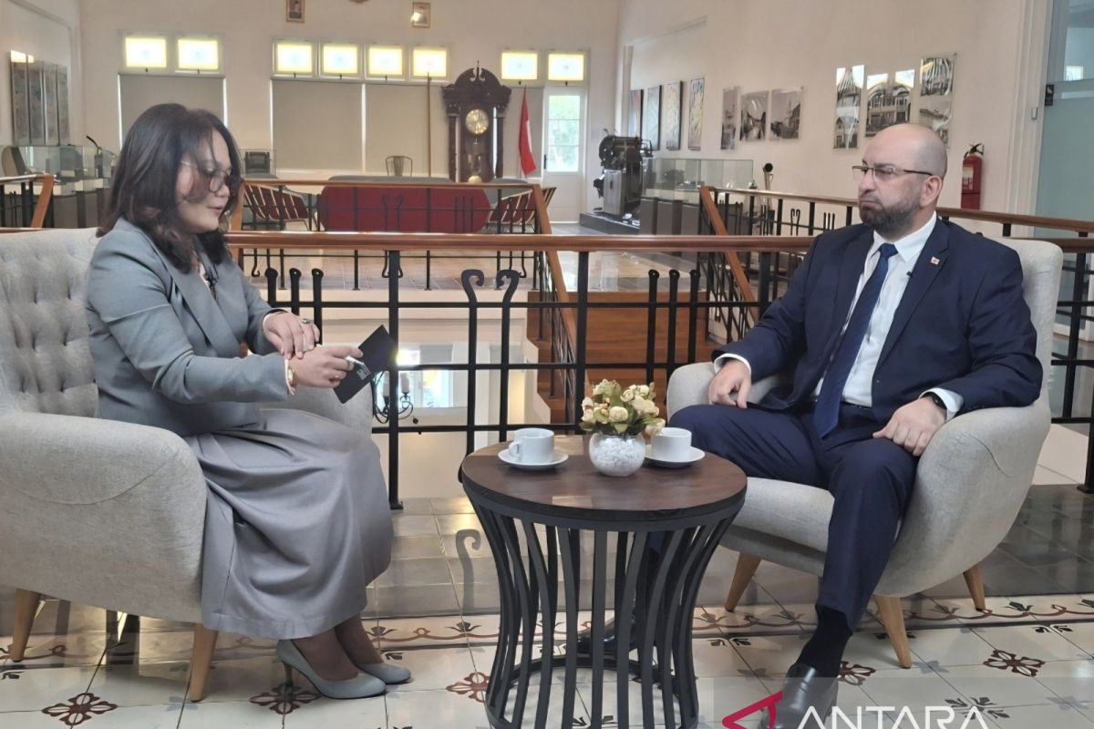 Dubes: Georgia mainkan peran kunci untuk amankan energi global