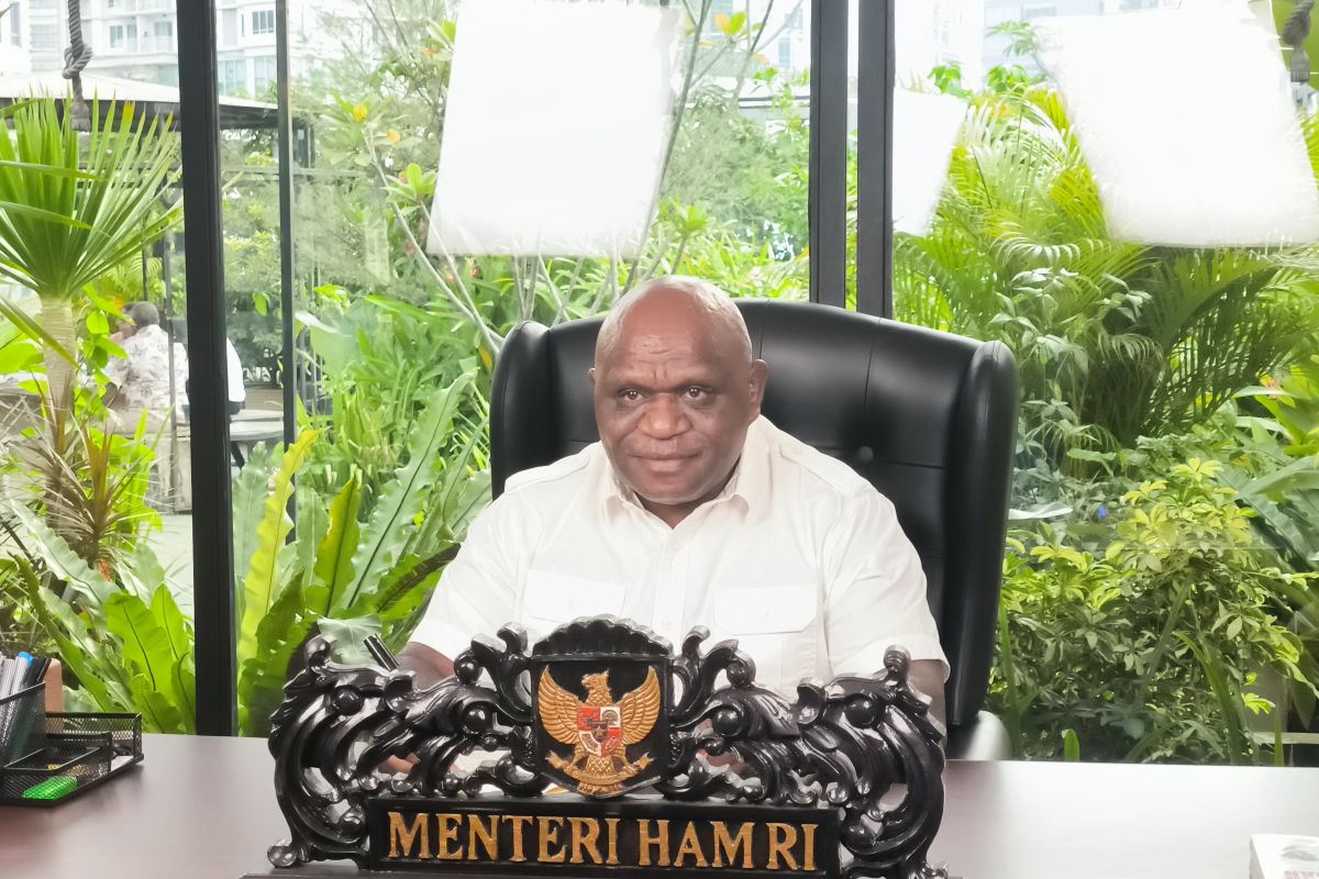 Kementerian HAM tegaskan perlindungan aktivis sejak awal proses hukum