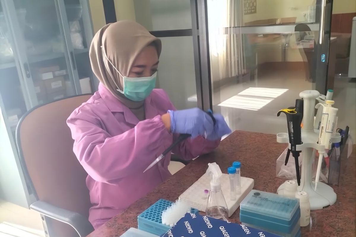 Balai Karantina NTB perketat pengawasan ternak melalui uji PCR