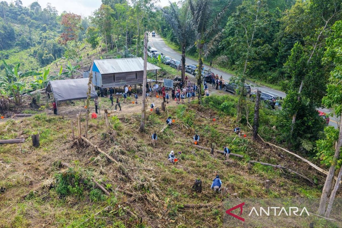 Otorita jaga kawasan hutan untuk fondasi IKN sebagai kota hutan