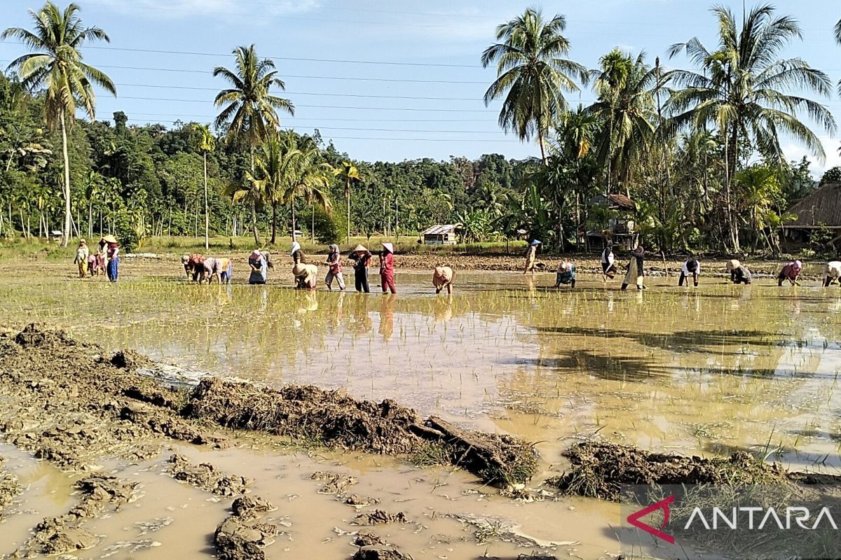 Sumbar alokasikan 60 persen dana rehabilitasi lahan terdampak bencana