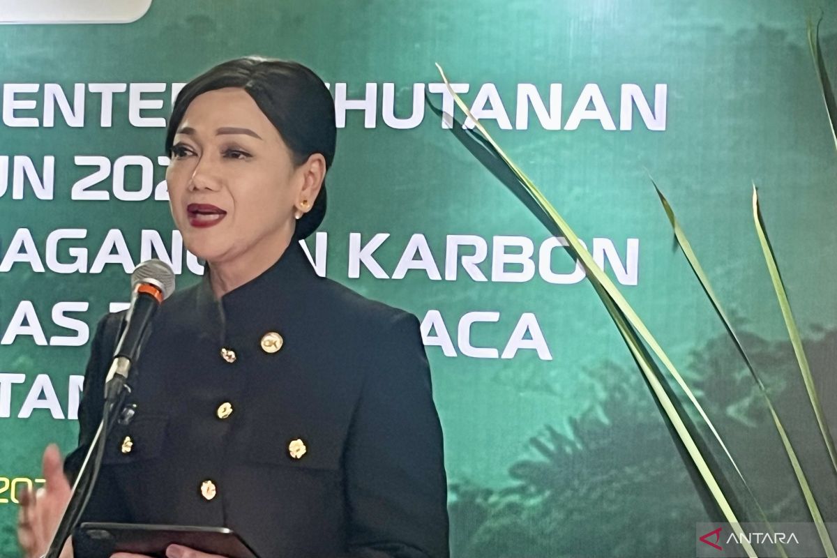 OJK siap kembangkan sistem pendukung perdagangan karbon Indonesia