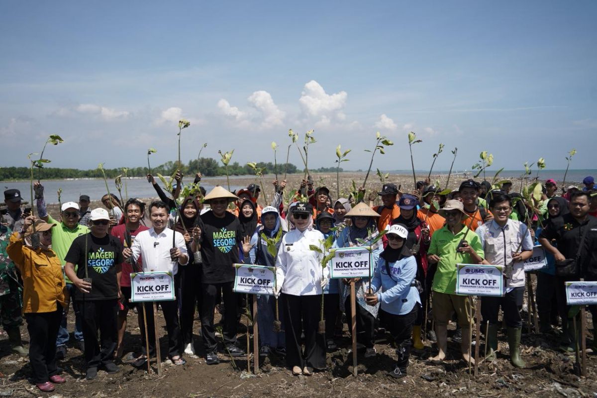 UMS berkontribusi dalam gerakan penanaman 1 juta Mangrove di Kendal