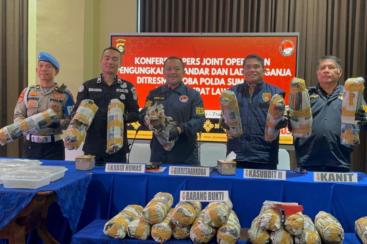 Polisi tangkap seorang pria kelola ladang ganja 20 hektare di Empat Lawang