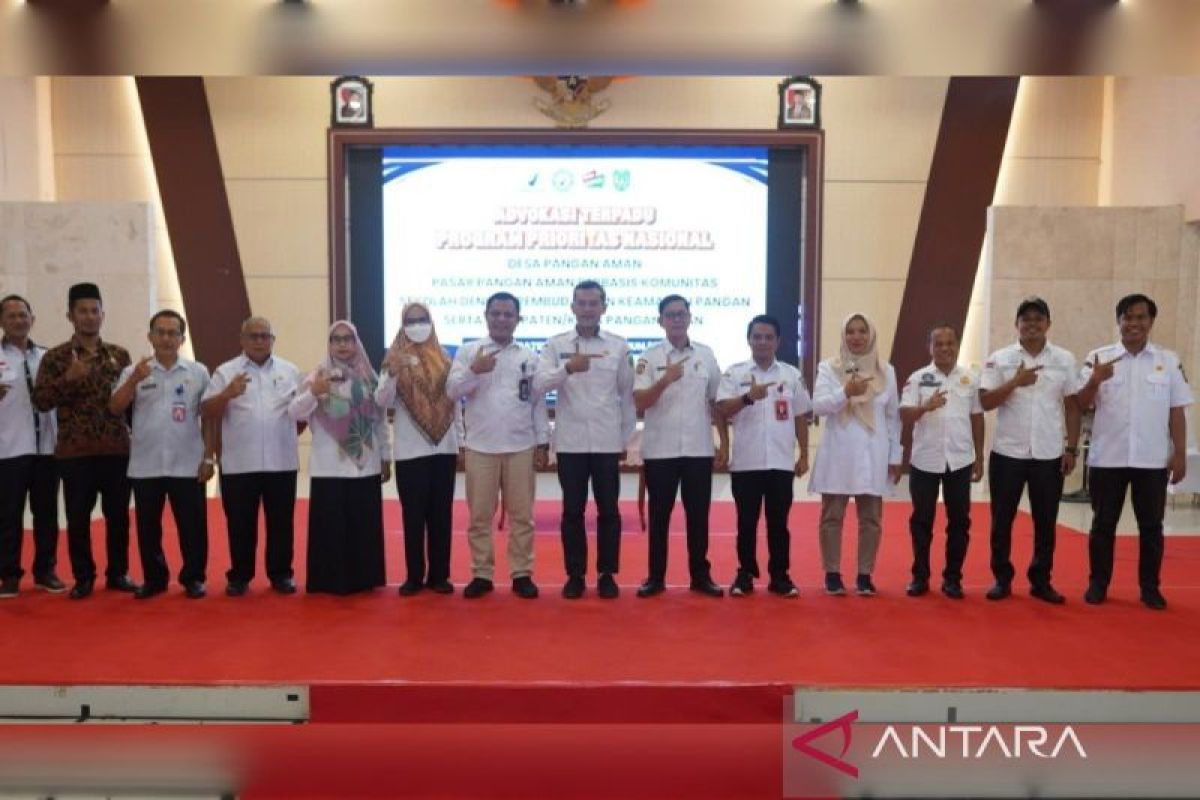 Sekda Sukamara tekankan pentingnya sinergi dalam keamanan pangan