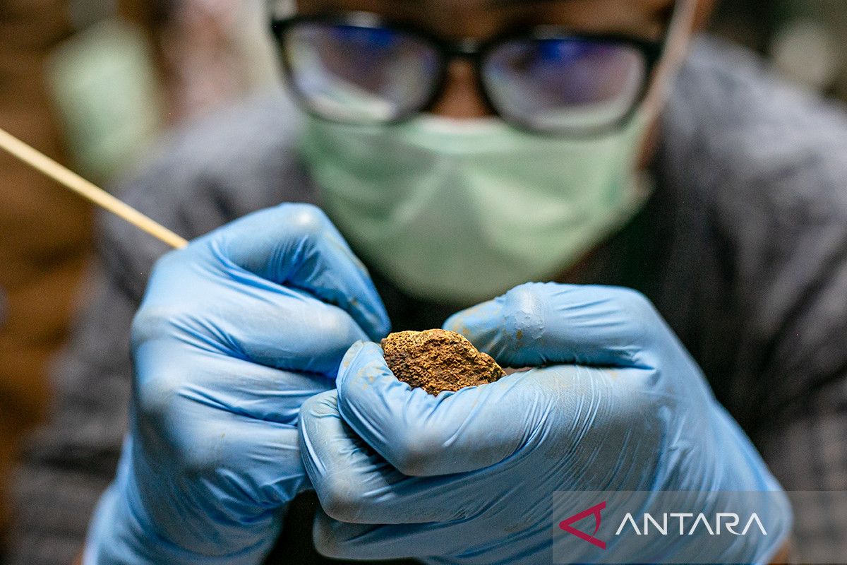 Belajar konservasi fosil purbakala di Situs Sangiran
