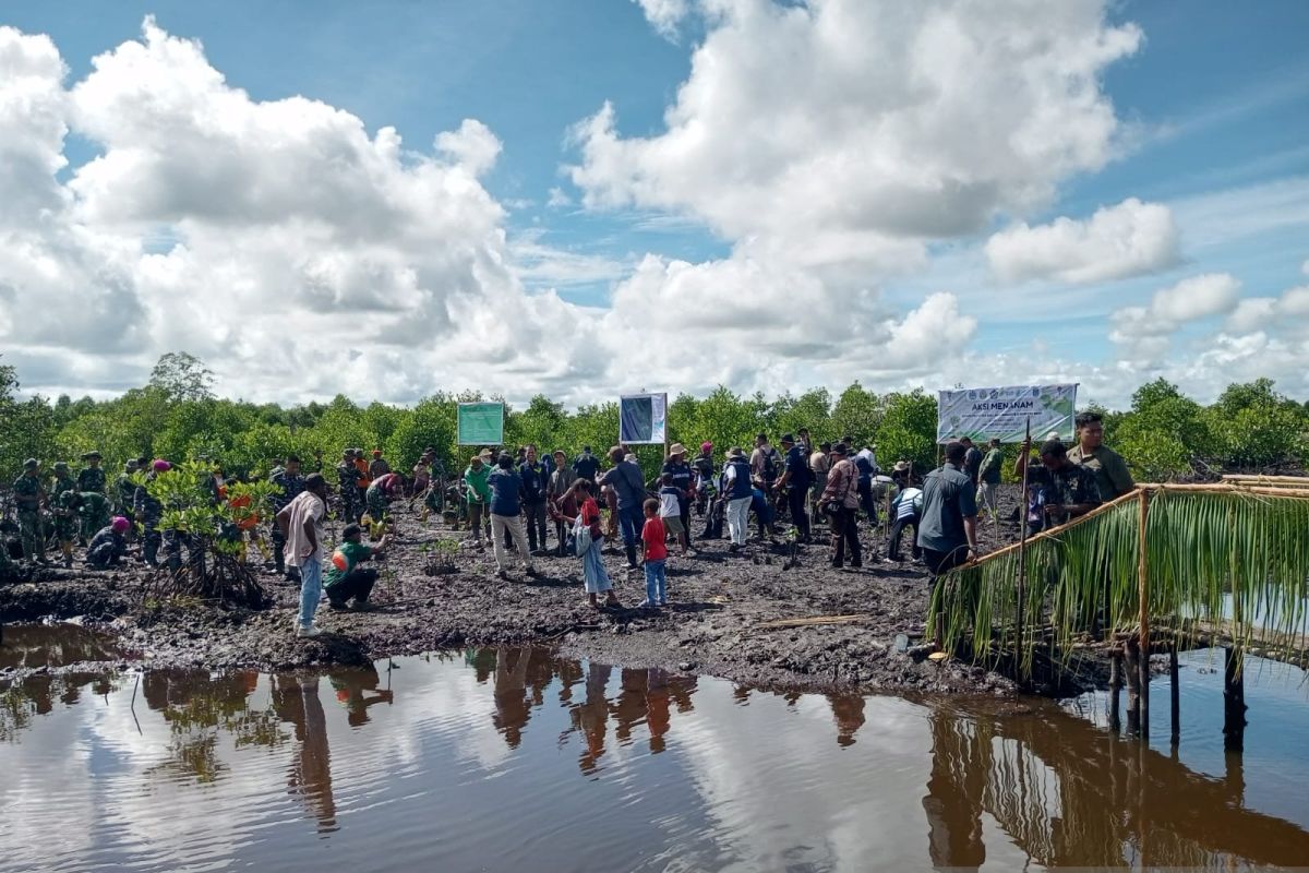 PBD tanam 36.000 mangrove sebagai aksi mitigasi perubahan iklim